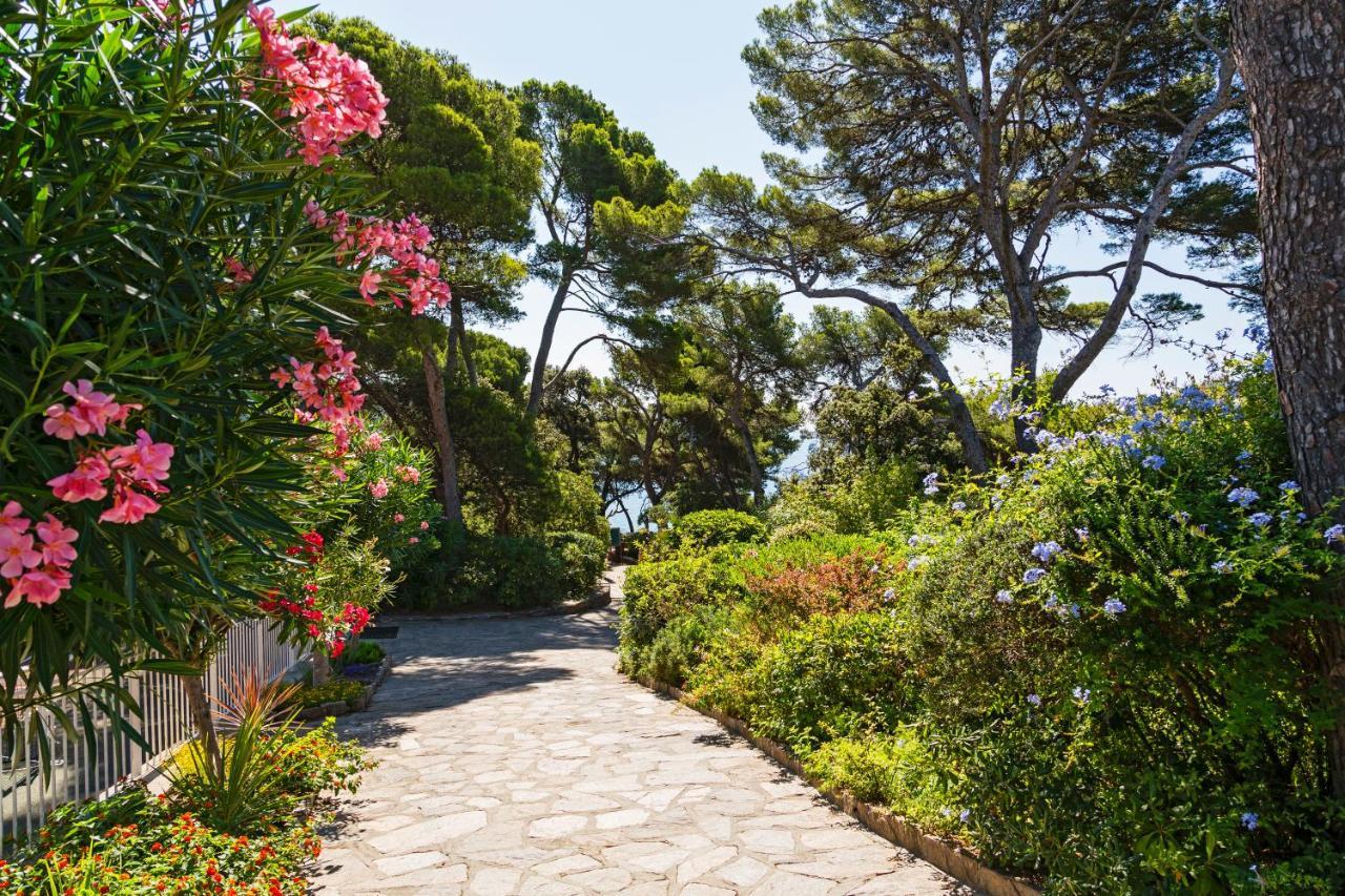 Parc Et Residence Le Provencal Hyères Eksteriør bilde